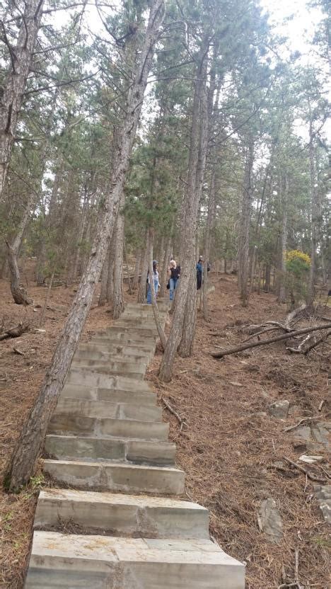 Stepping Lessons 的图像结果