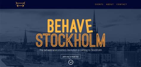 Image result for Divi Theme Examples