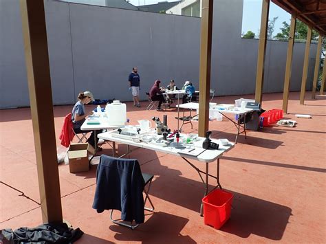 Go, Go, Gadget ARMS! – Invertebrate Zoology