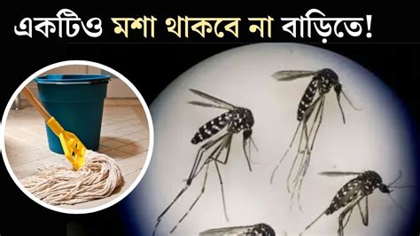 Mosquito: সন্ধ‍্যে হলেই ঝাঁকে ঝাঁকে মশার উত্‍পাতে নাজেহাল? ঘর মোছার জলে ...