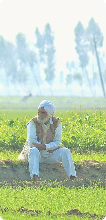 Organic Farming in Punjab | Organic Food Store - Fiver Rivers