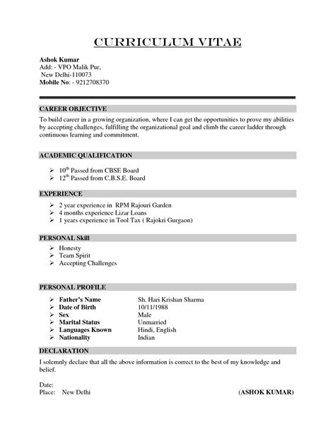 Curriculum vitae CV Examples 的图像结果