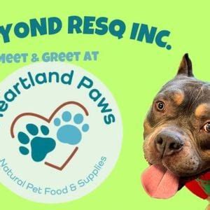 BNBR @ Heartland Paws, Heartland Paws, Elkhorn, December 2 2023 ...