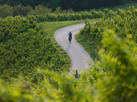 The finest wine trails around the globe | Condé Nast Traveller India ...