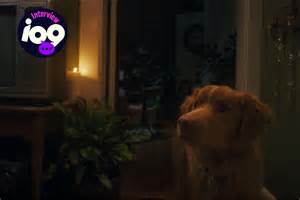 The Director of 'Good Boy' Talks Taking on the 'Does the Dog Die?' Trope