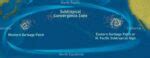 Environment, Meaning, Functions, Types and Issues