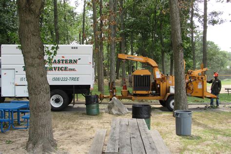 Northeastern Tree Service 的图像结果