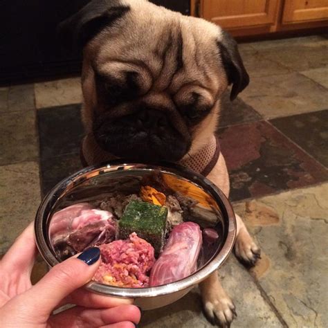 BARF Diet, Biologically Appropriate Raw Food, Dog Raw Diet Guide