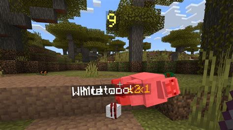 How to See Damage Minecraft Java 的图像结果