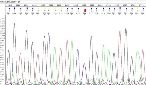 Image result for Electropherogram vs Chromatogram