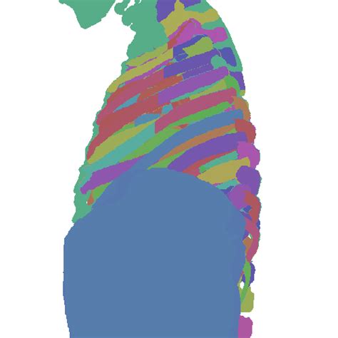 PAXRAY - Dataset Ninja