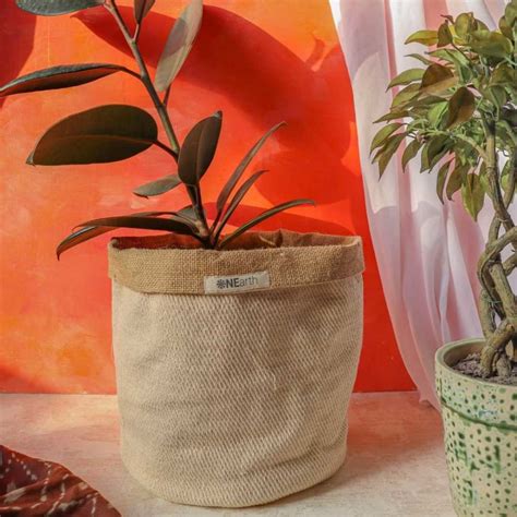 Buy Jute planter- 100% biodegradable- Multi-use Online in India