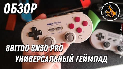 Image result for 8Bitdo SN30 Pro Layout