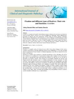 Image result for Role Fixation