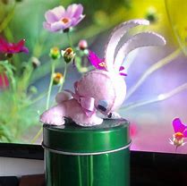 Image result for Coquette Bunny Plush