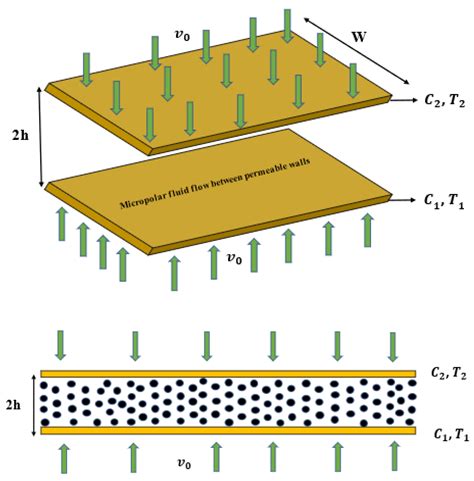 MHD Micropolar Fluid in a Porous Channel Provoked by Viscous ...