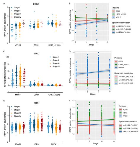 Functional Proteomic Profiling Analysis in Four Major Types of ...