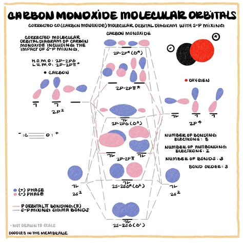 Carbon Monoxide Molecular Orbital Diagram