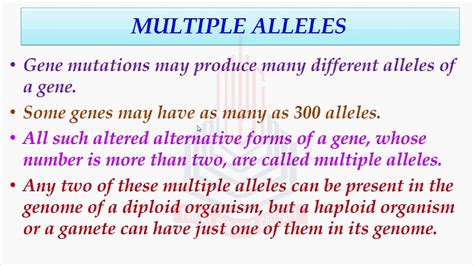 Multiple Alleles Examples Multiple Alleles And Co Dominance. Multiple