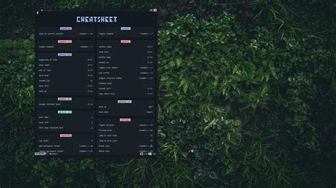 NvChad - auto-generated & responsive mappings cheatsheet window ...