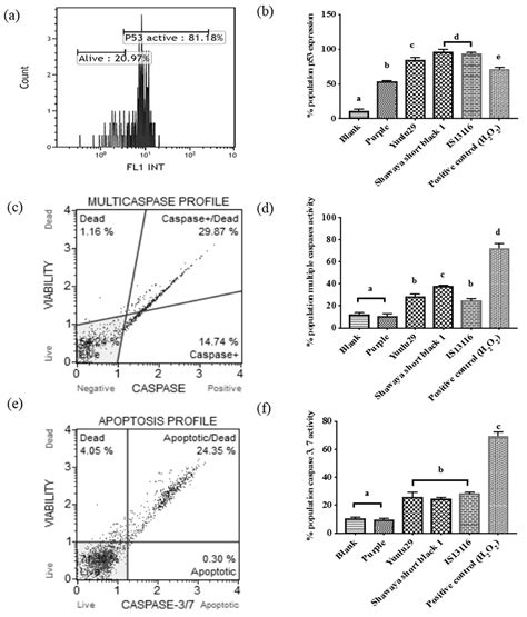 Apoptosis Induction Pathway in Human Colorectal Cancer Cell Line SW480 ...