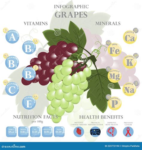 Health Benefits and Nutrition Facts of Grapes Infographic Vector Illustration. Stock Vector ...