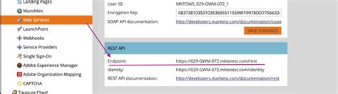 Image result for Marketo Python Code for Leads