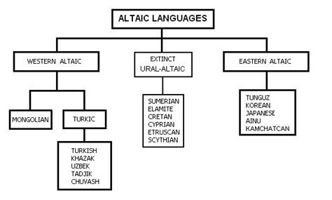 Image result for Altaic Languages Tree