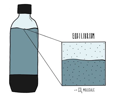 Appliance Science: The compressed chemistry of carbonation - CNET