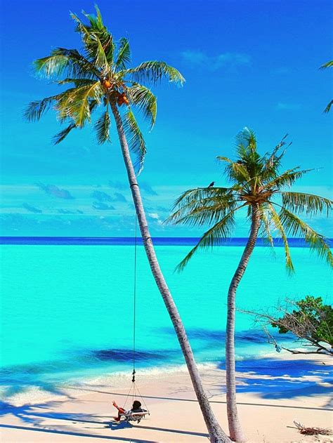 Home - Pharmacy Council of India, Ministry of Health & Family Welfare ...