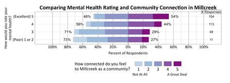 Millcreek Wellbeing Survey Findings 2024 | Utah Wellbeing Project | USU
