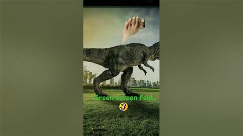 Feet Greenscreen 的图像结果