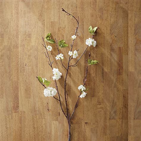 Cherry Blossoms Stem | Frontgate