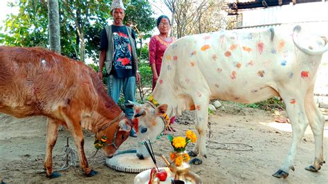 Tihar: the festival of lights, culture, and harmony in Nepal | Meer