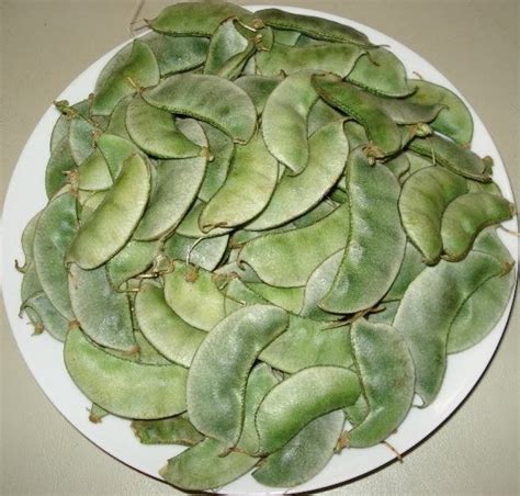 ORGANIC AVAREKAI – Green Station