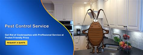 Pest Control Services in Gurgaon 30% OFF | Service Mantra