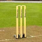 Cricket Crease Marker | Net World Sports
