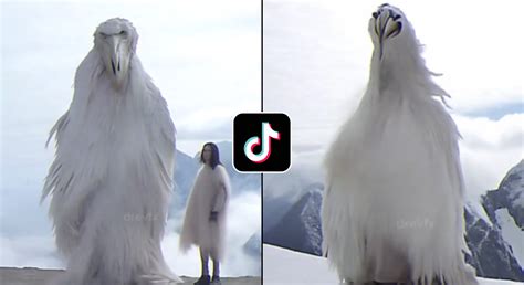 Fact Check: Is The Opium Bird Real? Viral 2027 Meme, 56% OFF