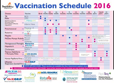 Immunization Chart Printable