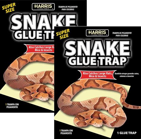 Buy Harris Snake Glue Trap, Super Sized for Snakes, Rats, Mice and ...