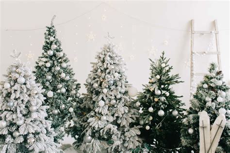 [100+] White Christmas Backgrounds | Wallpapers.com
