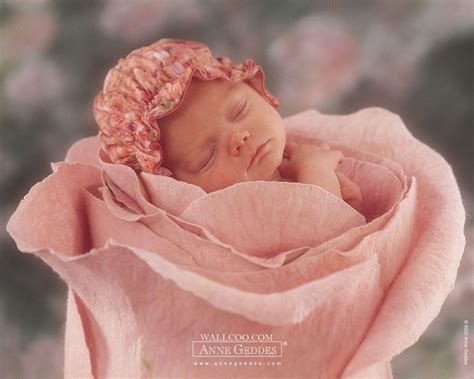 Anne Geddes Wallpapers - Wallpaper Cave