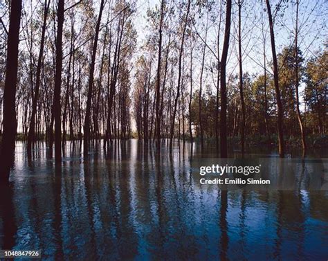 Examples of the Technology Ladscape 的图像结果