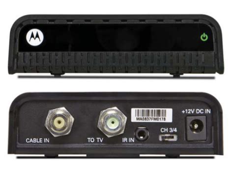 Image result for Cable Leg Extensions Exercise