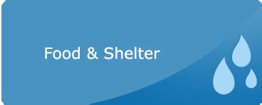 vShare Foundation