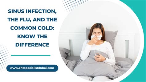 Acute vs. Chronic Sinusitis: Understanding the Key Differences - Dr ...