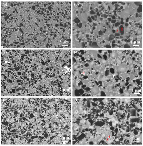 Influences of Ultrafine Ti(C, N) on the Sintering Process and ...