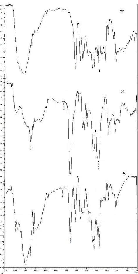 Determination of surface morphology and particle size by scanning ...