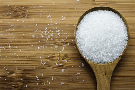 penyedap masakan terdiri dari monosodium glutamat tts