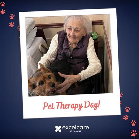 ExcelCare at Wayne on LinkedIn: #getalittlepettherapy